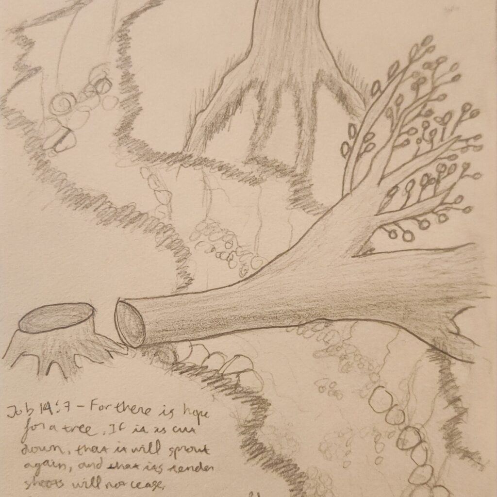 There is hope when tree is cut off